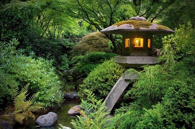 meditación zen variedad plantas arbustos 