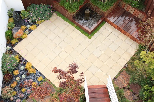 moderno jardin madera terraza suculentas
