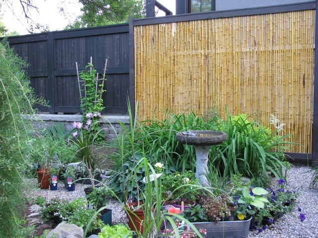 muro alto vaya madera patio xeriscape