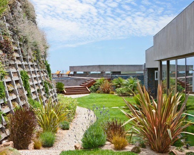 muro concreto patio exterior plantas