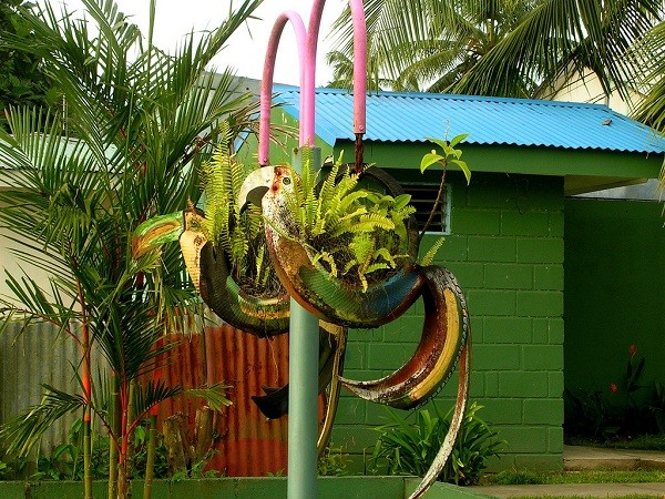 neumatico plantas flores colgante helechos