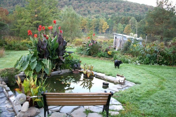 paisaje natural jardín perro banco