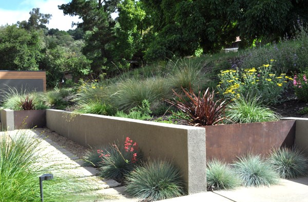 paisajismo con plantas de exterior rocas muro