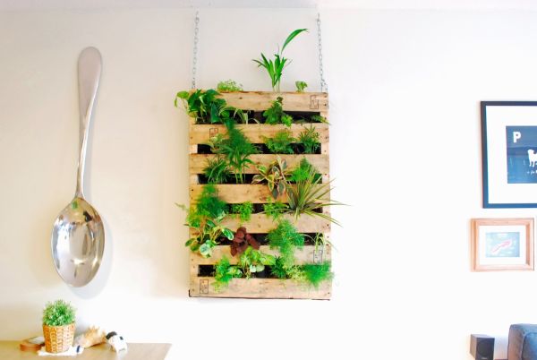 palet plantas interior colgante decoracion diseño