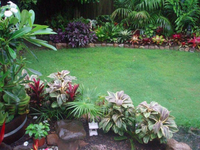 cesped jardin palmeras flores plantas