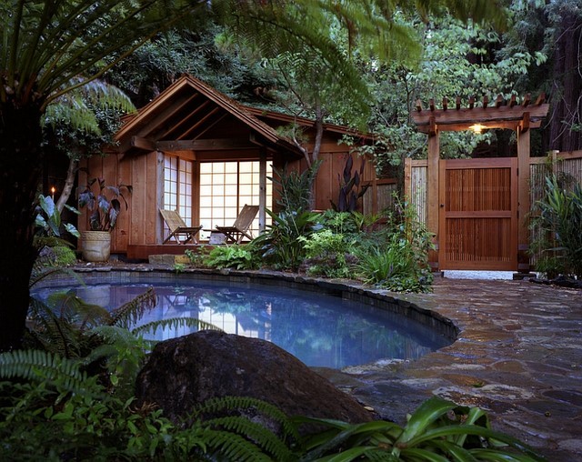 piscina redonda agua rural plantas alrededor