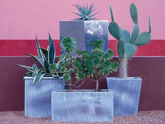 planta cactus tipos marmol macetas decorativos
