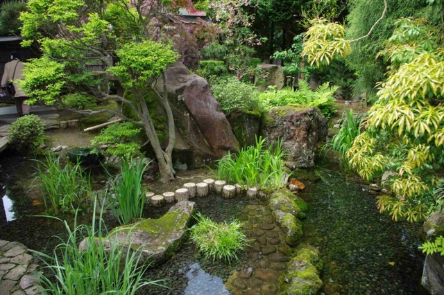 plantas agua rocas bambu lago