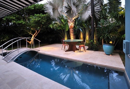 plantas iluminacion tropical patio jardin paisajismo