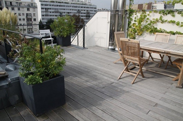 plantas macetas decoración comed exterioror
