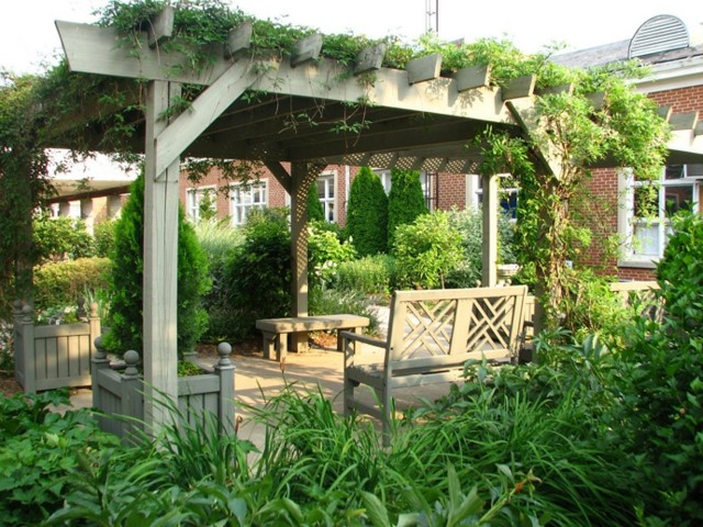 plantas trepadoras sombra banco madera blanca
