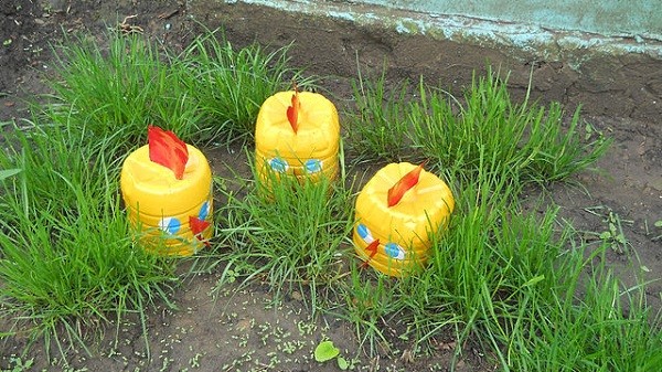 plastico envases pollos jardineria decoracion