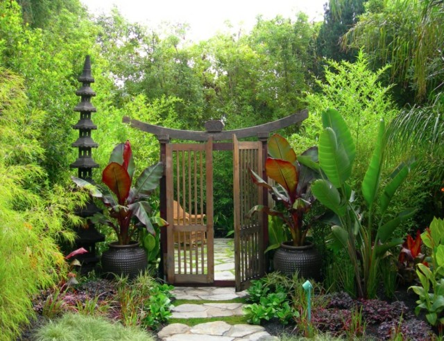 porton plantas bambu camino zen