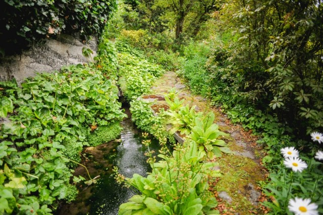 senda natural piedras bosque río