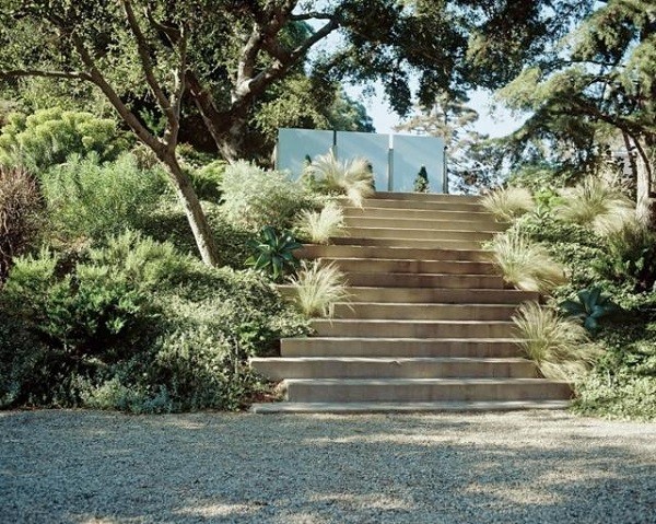 suculentas jardín plantas colina grava