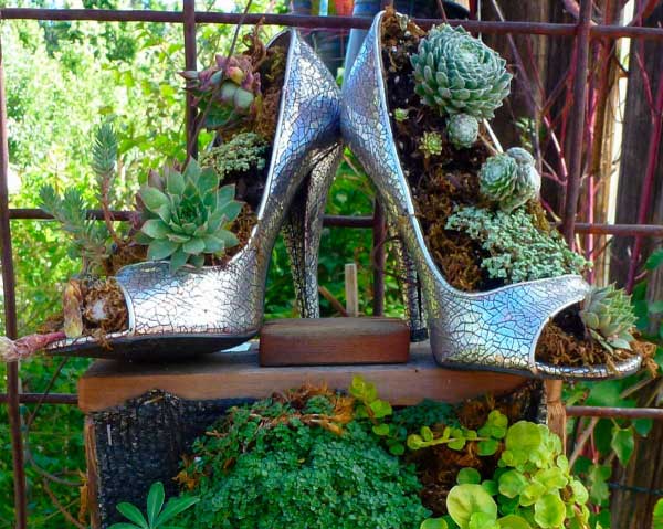 suculentas zapatos plantas jardin decoracion manualidades