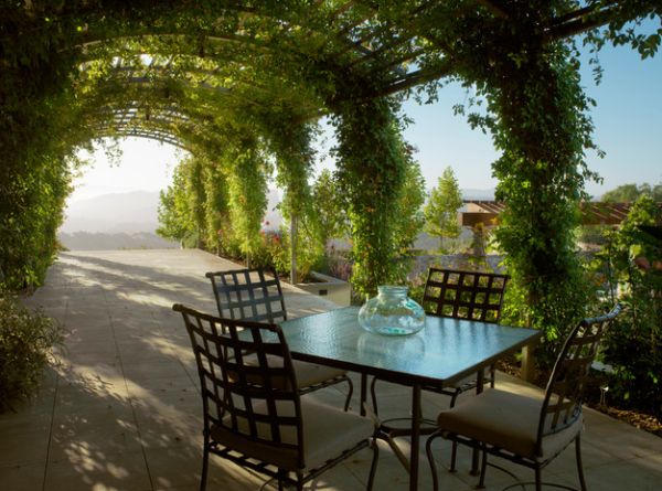 terraza muebles sillas cojines enredadera muebles