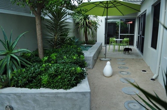 tropical patio fotos plantar paisajismo exteriores