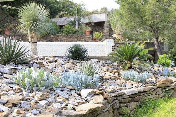 xeriscaping rocas cactus terrazas plantas