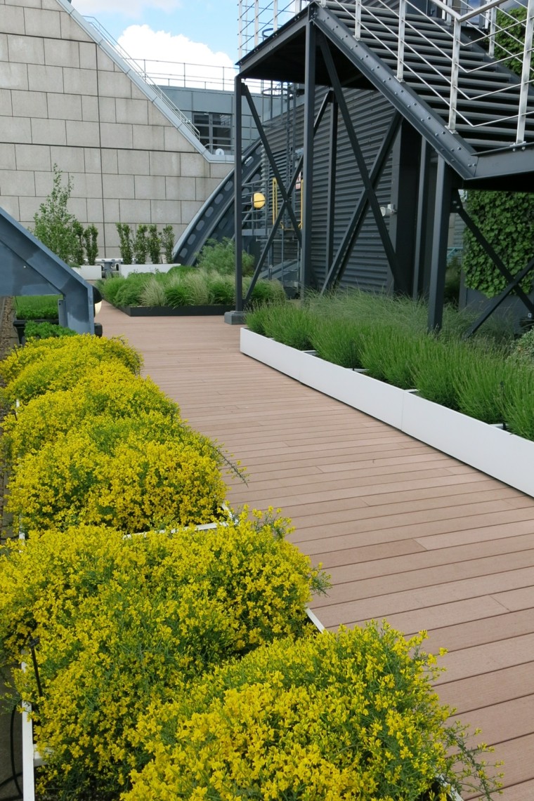 camino de madera rodeado por plantas amarillas Matthew Bell jardin urbano diseno camino madera macetas blancas ideas