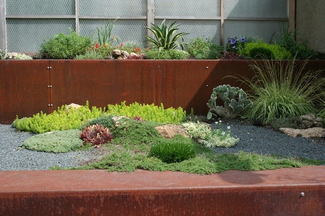 acero corten flores suculentas patio