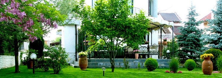 paisaje plantas jardin link