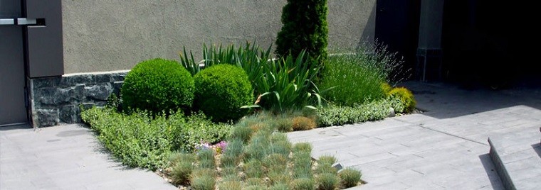 paisajismo plantas exterior arquitectura