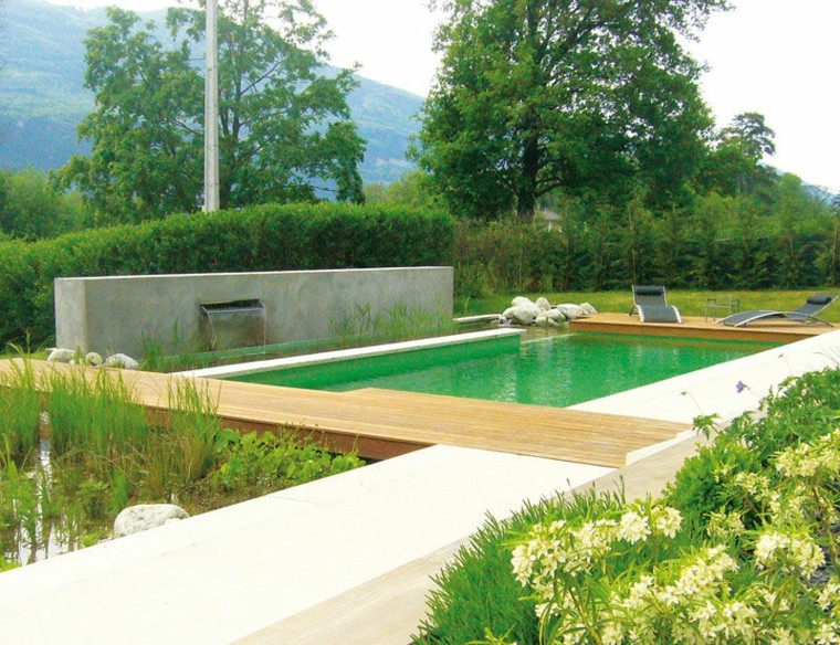 bonita piscina biofiltro plantas plataforma