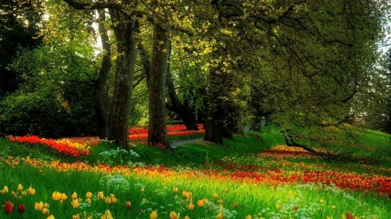 bonito paisaje natural primavera tulipanes ideas 