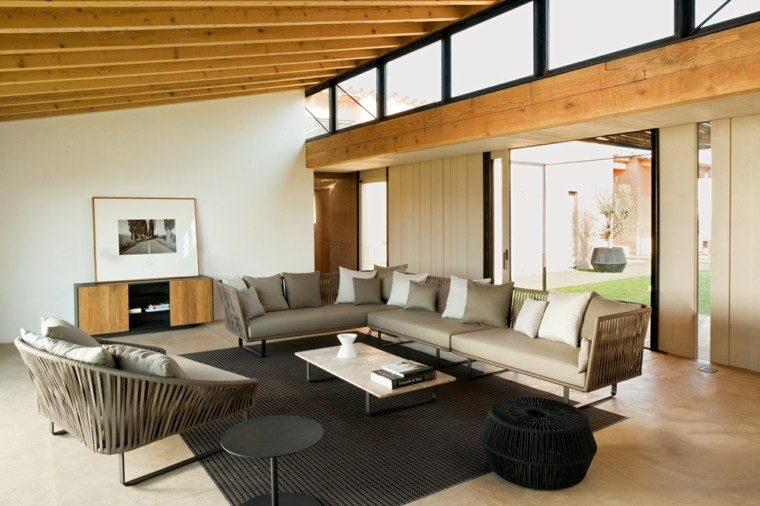 casa luces macetas madera techo sillones
