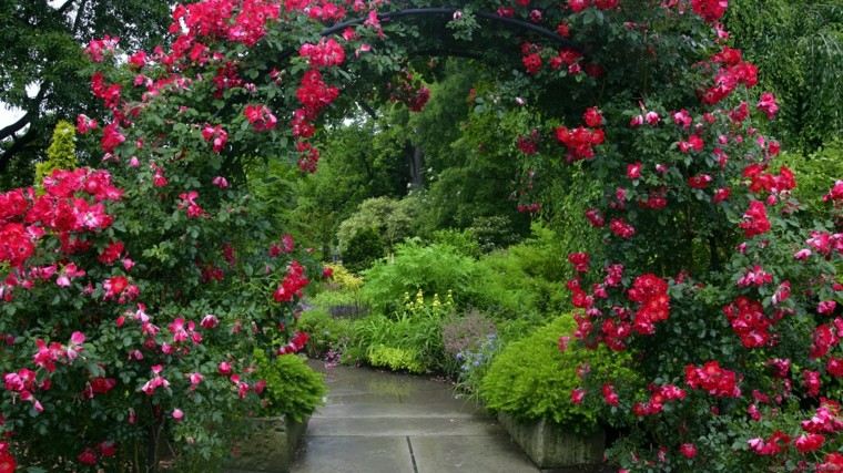 colores y diseño de jardines flores arco rojo