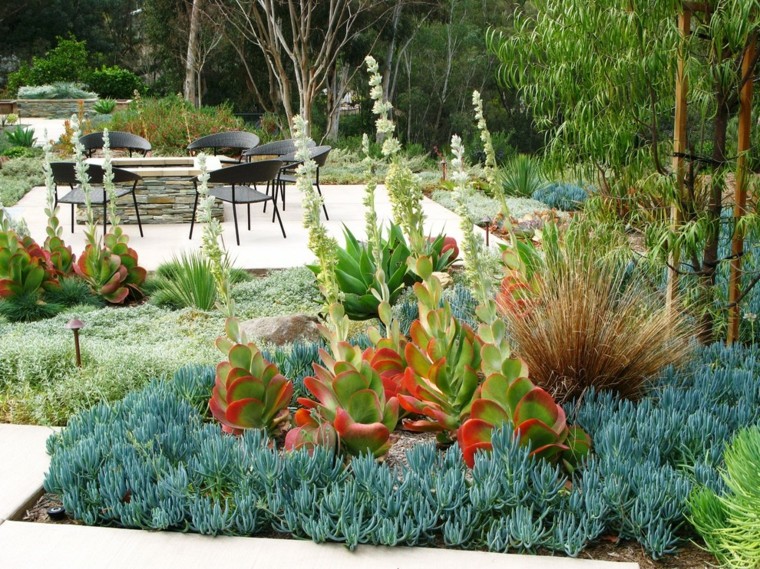 colores y diseño de jardines suculentas sillas verde