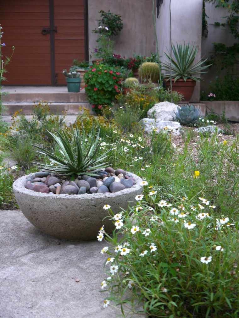 como diseñar un jardin flores maceta cactus