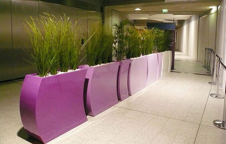 contenedores plantas grandes rosa interior