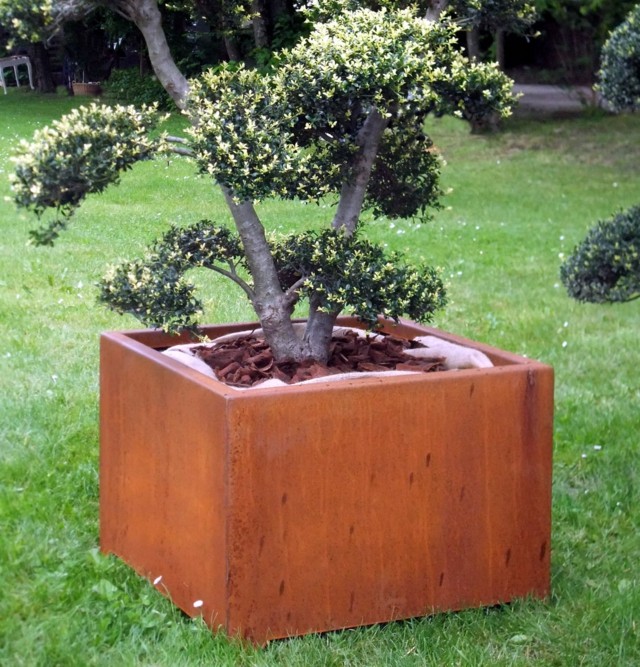 corten planta jardin flores cesped mantillo