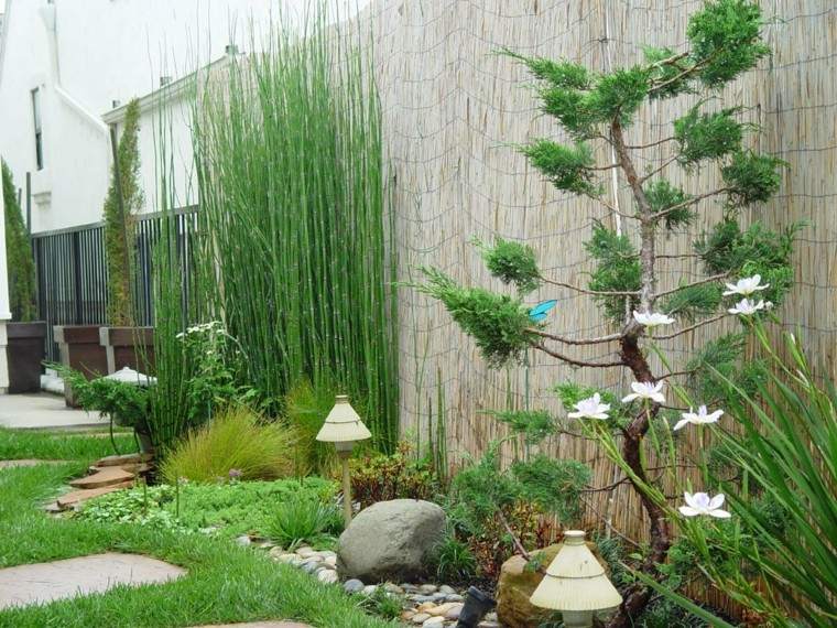 diseño jardin japones plantas pared