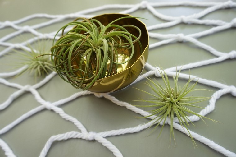 dorado planta creativo macrame cuenco dorado