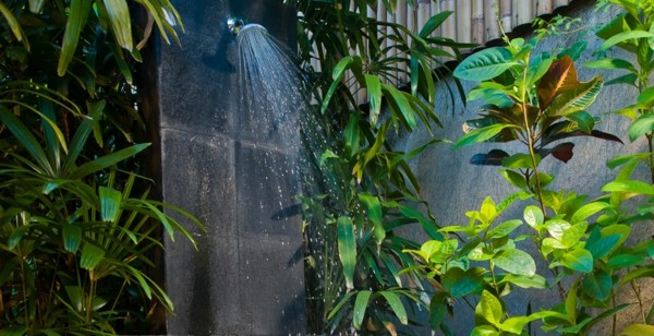 ducha jardín plantas varias negra