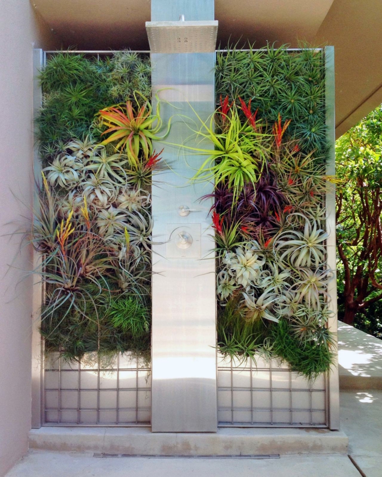duchas para exteriores metalica plantas pared verde