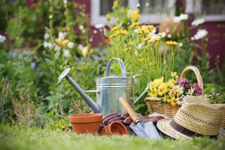 el tiempo preparar jardin primavera ideas plantar 