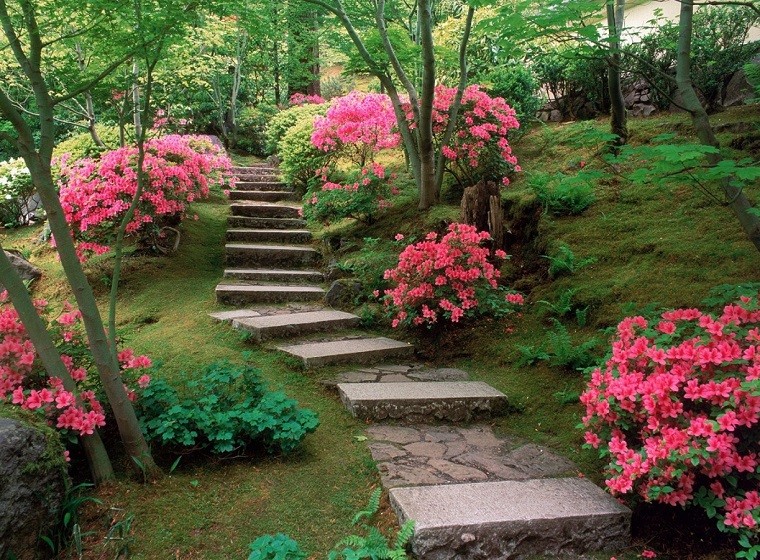 escaleras piedra jardín flores rosa