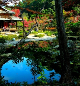 Diseño de jardín japonés para los espacios de exterior