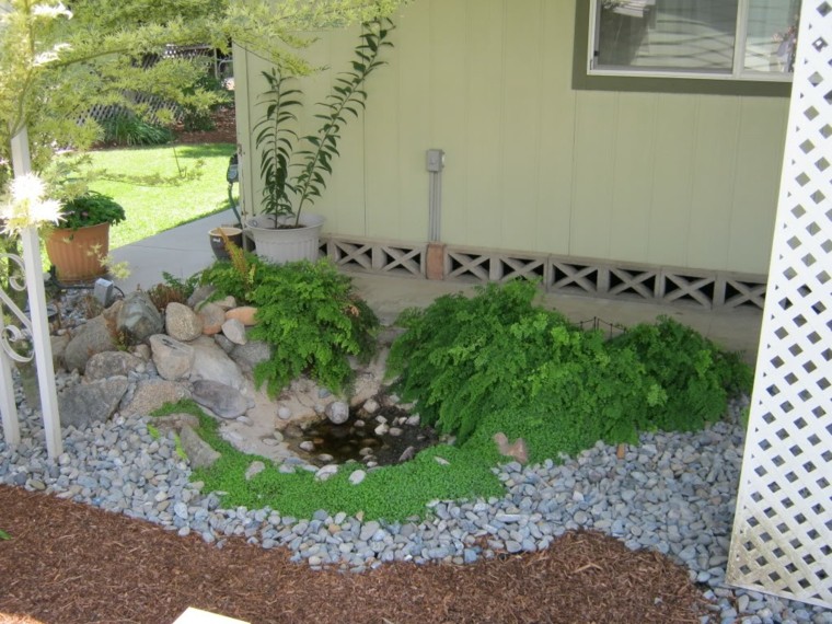 estanque pequeño rocas jardin plantas