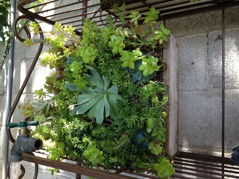 estupenda parcela jardín vertical plantas