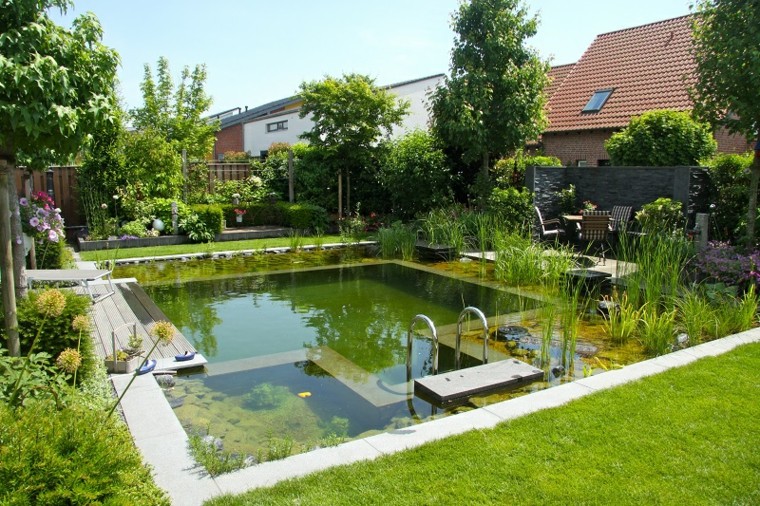 estupenda piscina natural bio plantas