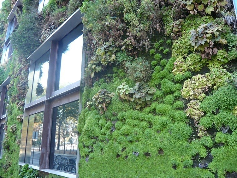 estupenda ventana pared muro plantas
