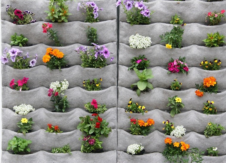 estupendo muro hormigón jardinera vertical