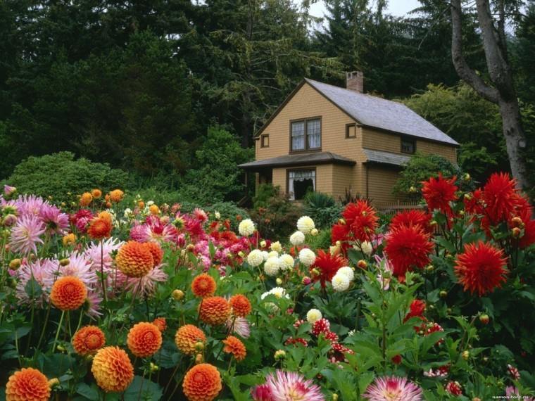 flores bonitas jardin colores ideas originales casa