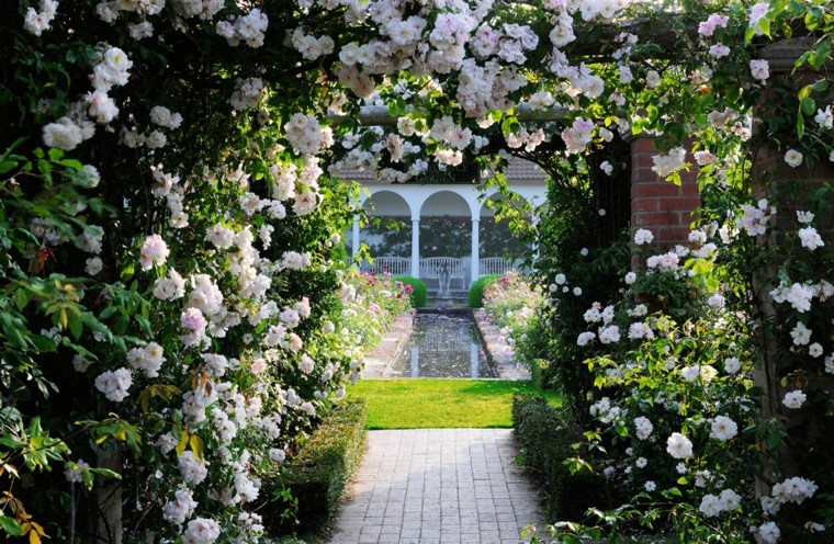 flores bonitas trepadoras pergola tunel camino casa ideas