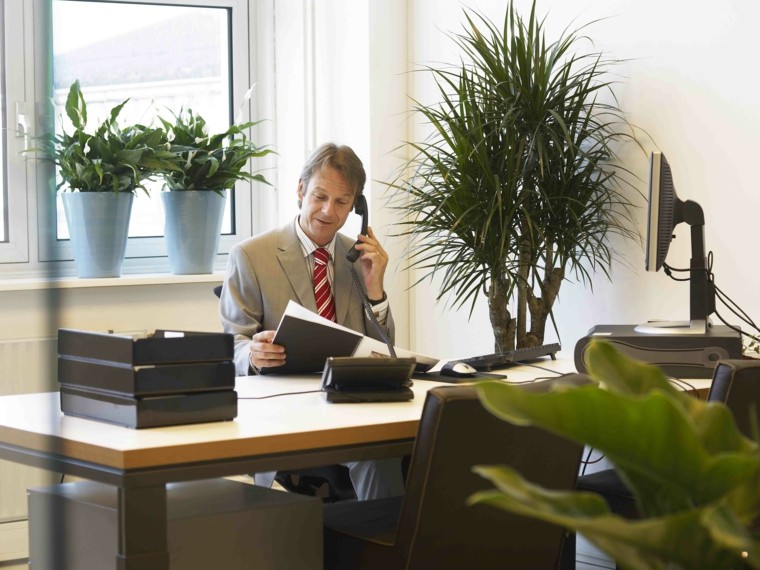 hombre telefono macetas plantas ventanas